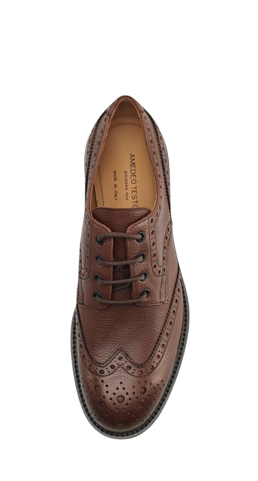 1200$ TESTONI "Camogli" Brown Derby Shoes Soft Grain Calf 8 UK / 9 US / 42 IT