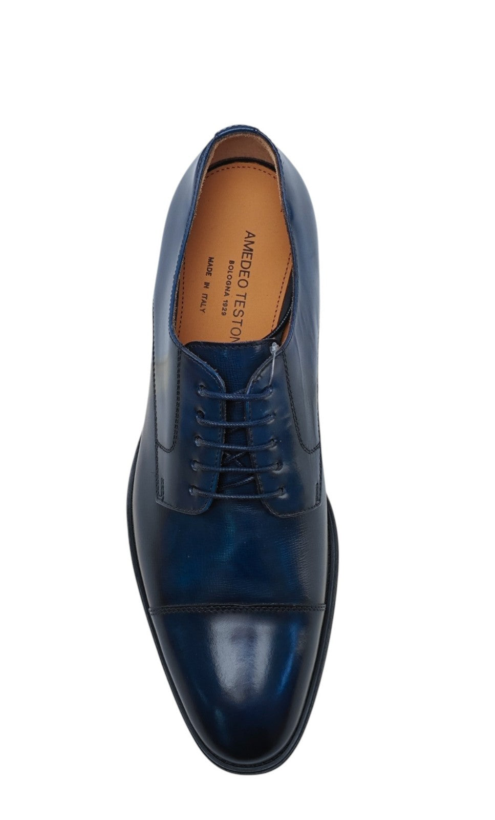 1200$ TESTONI "Salerno" Blue Navy Derby Shoes Brushed Calf 8 UK / 9 US / 42 IT
