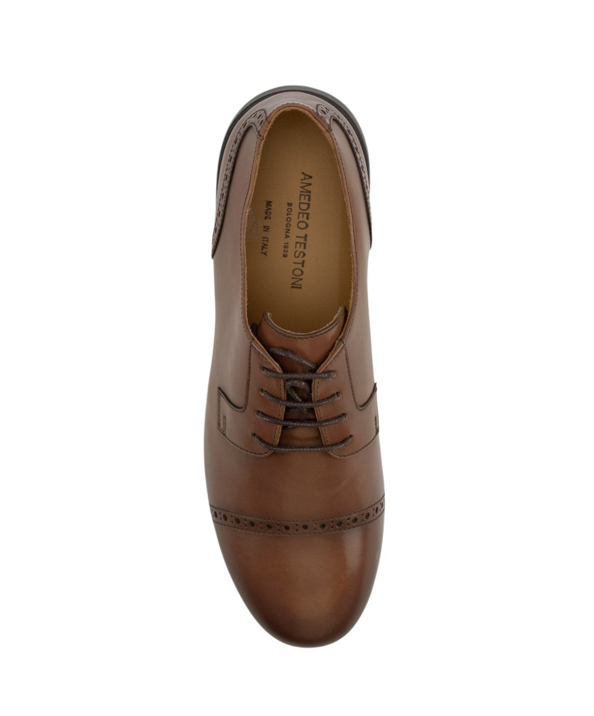 850$ TESTONI 1929 Riace Derby Shoes Burnished Calf Brulee 8 UK / 9 US / 42 IT