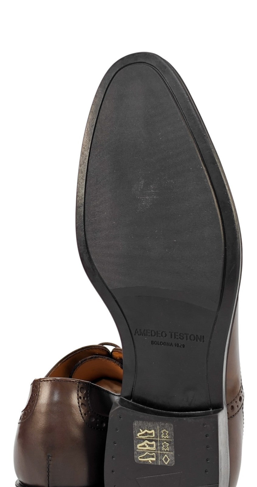 1100$ TESTONI "Salerno" Oxford Shoes Burnished Calf Cigar 7 UK / 8 US / 41 IT