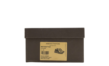 850$ TESTONI 1929 Riace Derby Shoes Burnished Calf Brulee 8 UK / 9 US / 42 IT