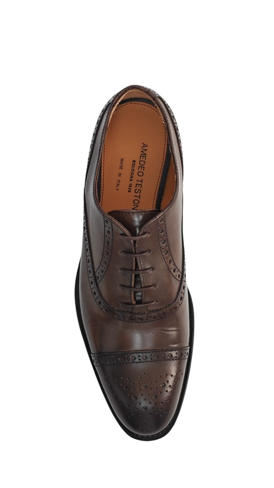 1100$ TESTONI "Salerno" Oxford Shoes Burnished Calf Cigar 7 UK / 8 US / 41 IT