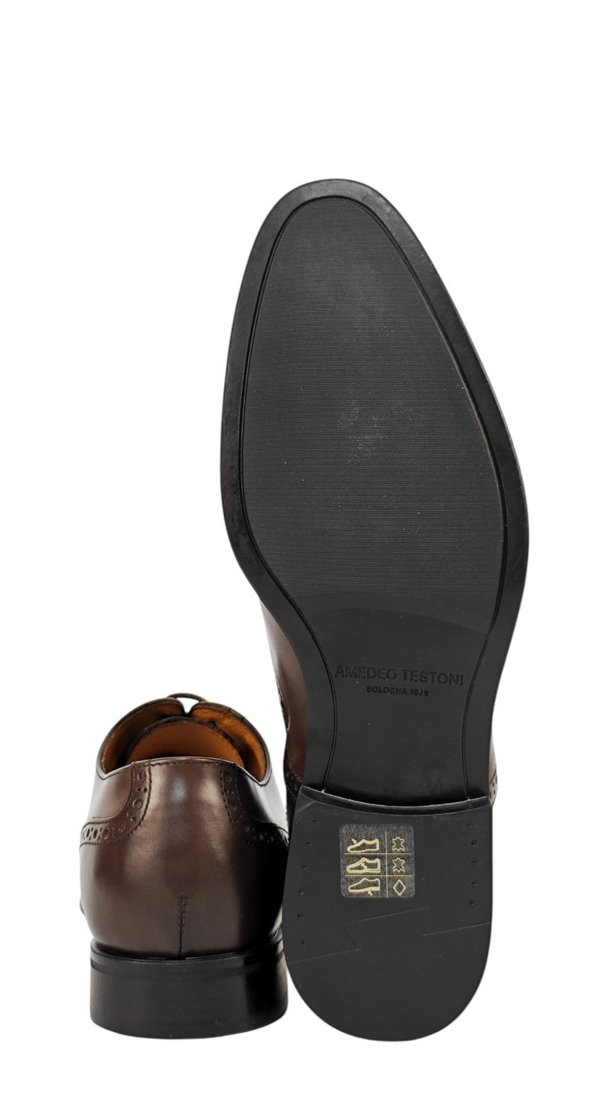 1100$ TESTONI "Salerno" Oxford Shoes Burnished Calf Cigar 7 UK / 8 US / 41 IT